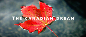 canadian dream maple leaf