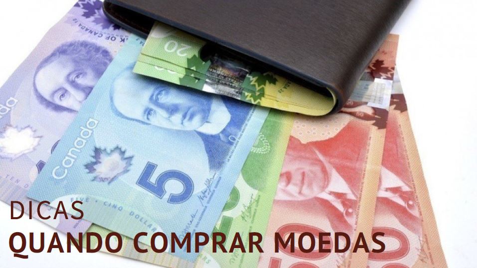 quando comprar papel moeda - dicas - cover