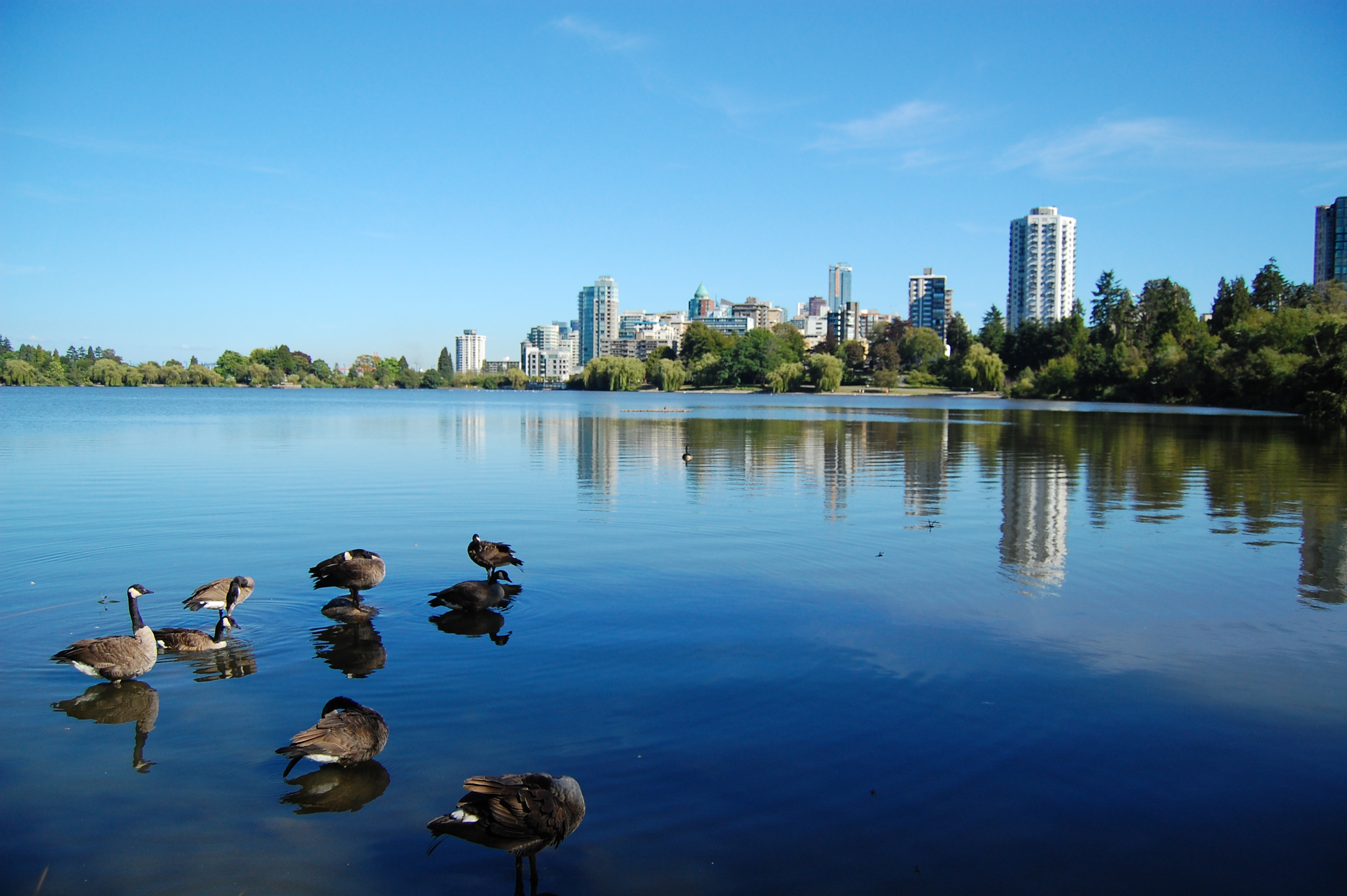 Um mês de Canadá!