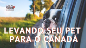 levando seu pet para o canadá