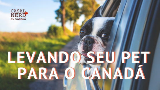 levando seu pet para o canadá